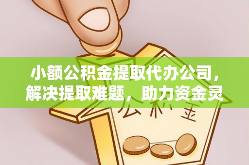 文水小额公积金提取代办公司，解决提取难题，助力资金灵活使用