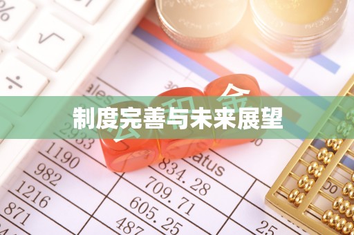 文水制度完善与未来展望