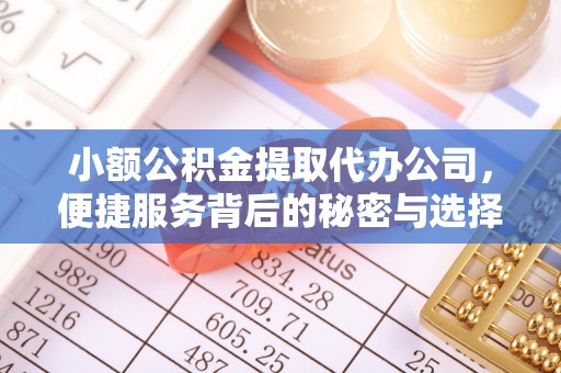 文水小额公积金提取代办公司，便捷服务背后的秘密与选择指南