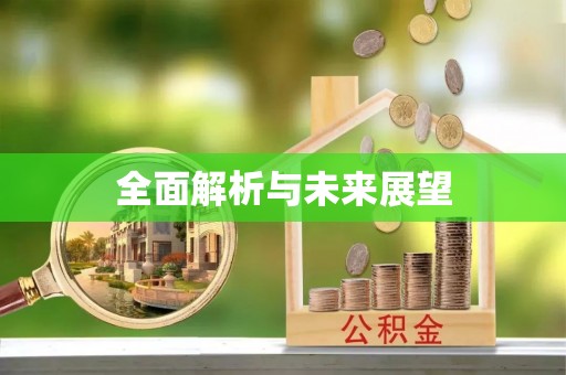 文水全面解析与未来展望